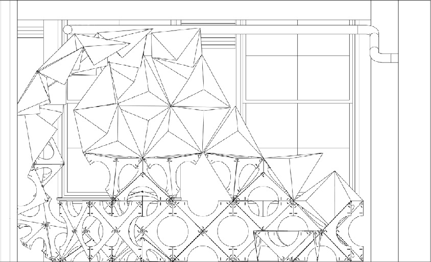 Elevation